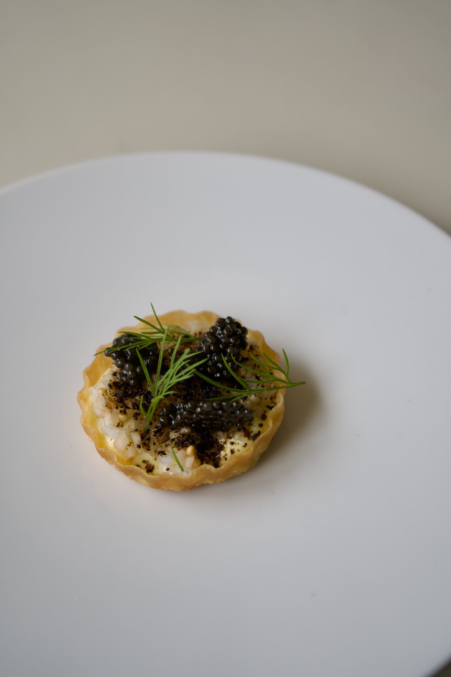 260128_Merold8_cIsisRampf